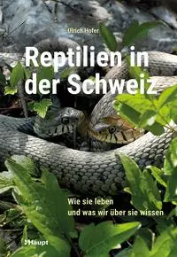 Cover: 9783258083728 | Reptilien in der Schweiz | Wie sie leben und was wir über sie wissen
