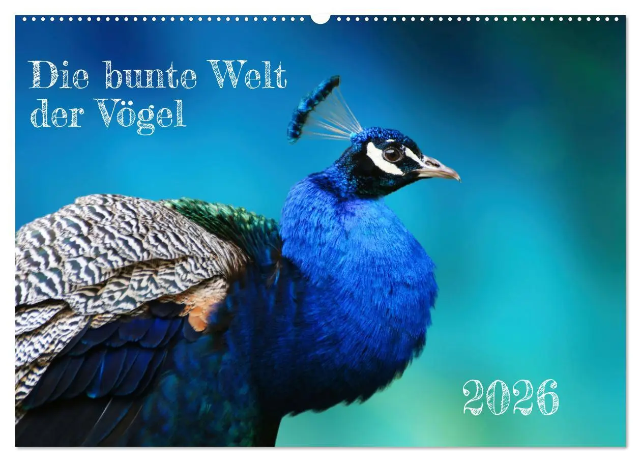 Cover: 9783457523728 | Die bunte Welt der Vögel (Wandkalender 2026 DIN A2 quer), CALVENDO...