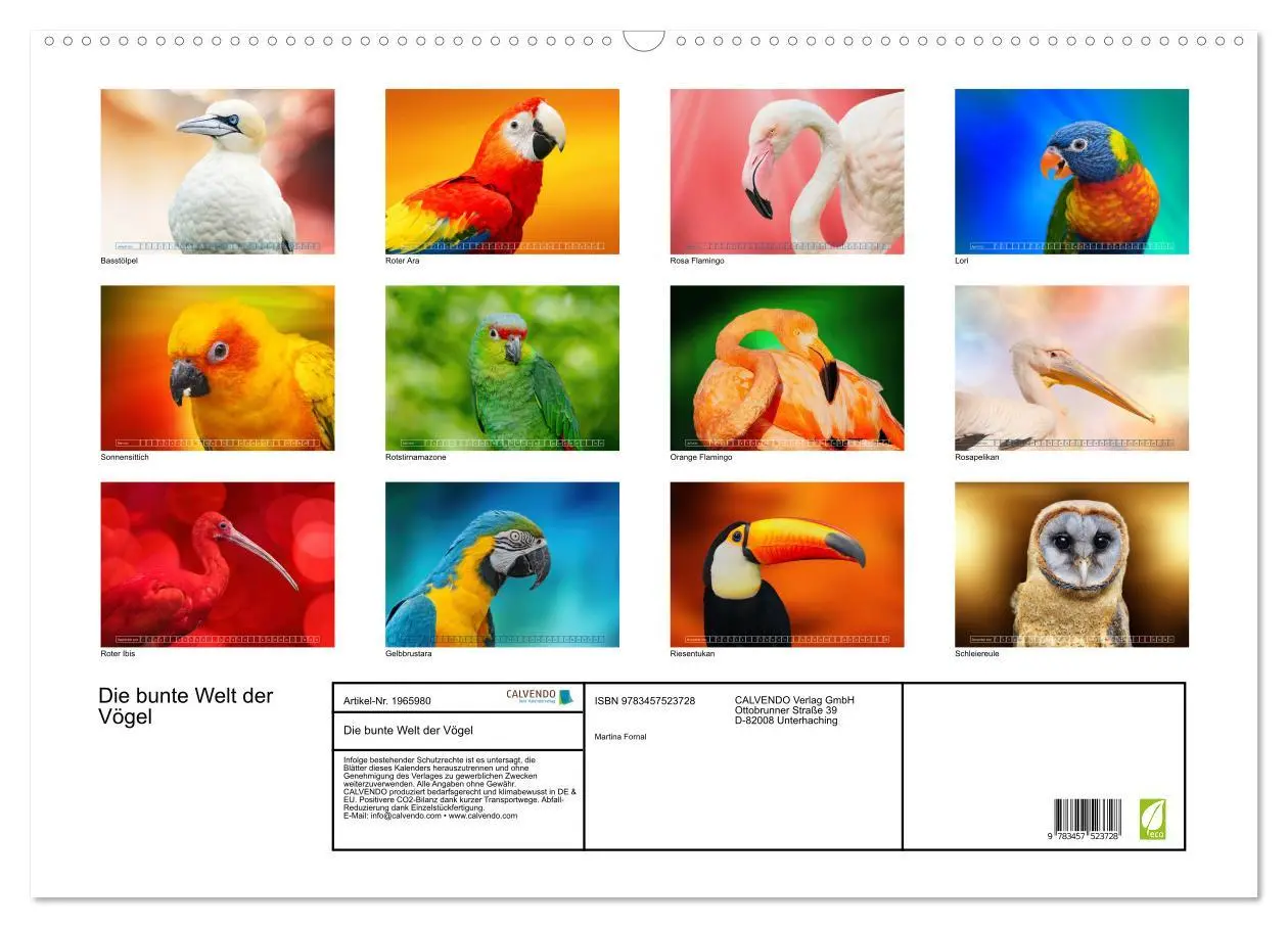 Bild: 9783457523728 | Die bunte Welt der Vögel (Wandkalender 2026 DIN A2 quer), CALVENDO...