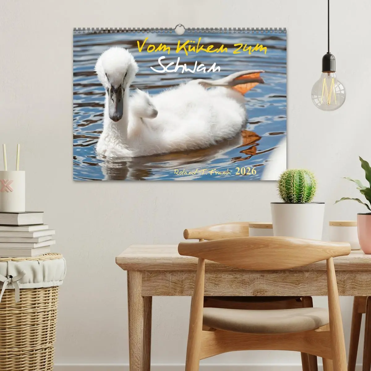 Bild: 9783516093728 | Vom Küken zum Schwan (Wandkalender 2026 DIN A3 quer), CALVENDO...