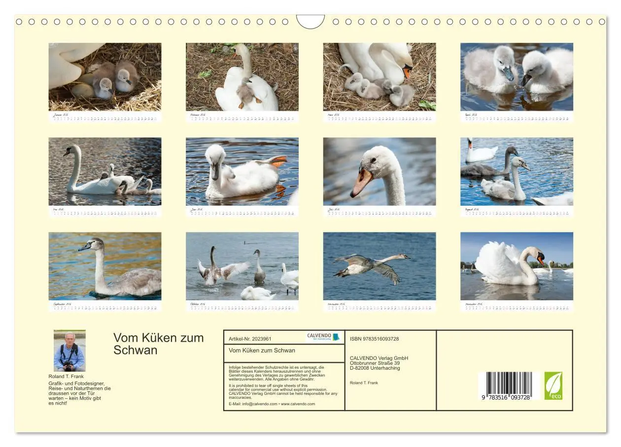 Bild: 9783516093728 | Vom Küken zum Schwan (Wandkalender 2026 DIN A3 quer), CALVENDO...