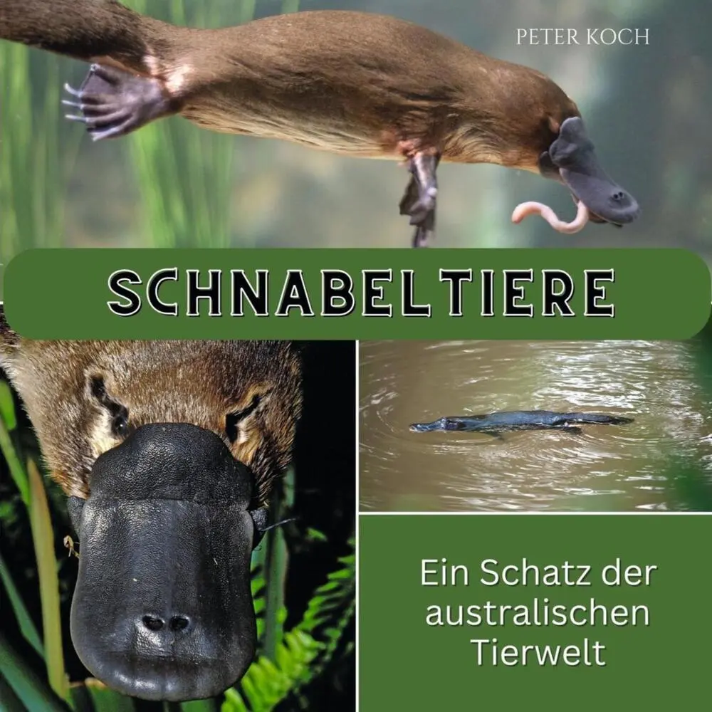 Cover: 9783750563728 | Schnabeltiere | Ein Schatz der australischen Tierwelt | Peter Koch