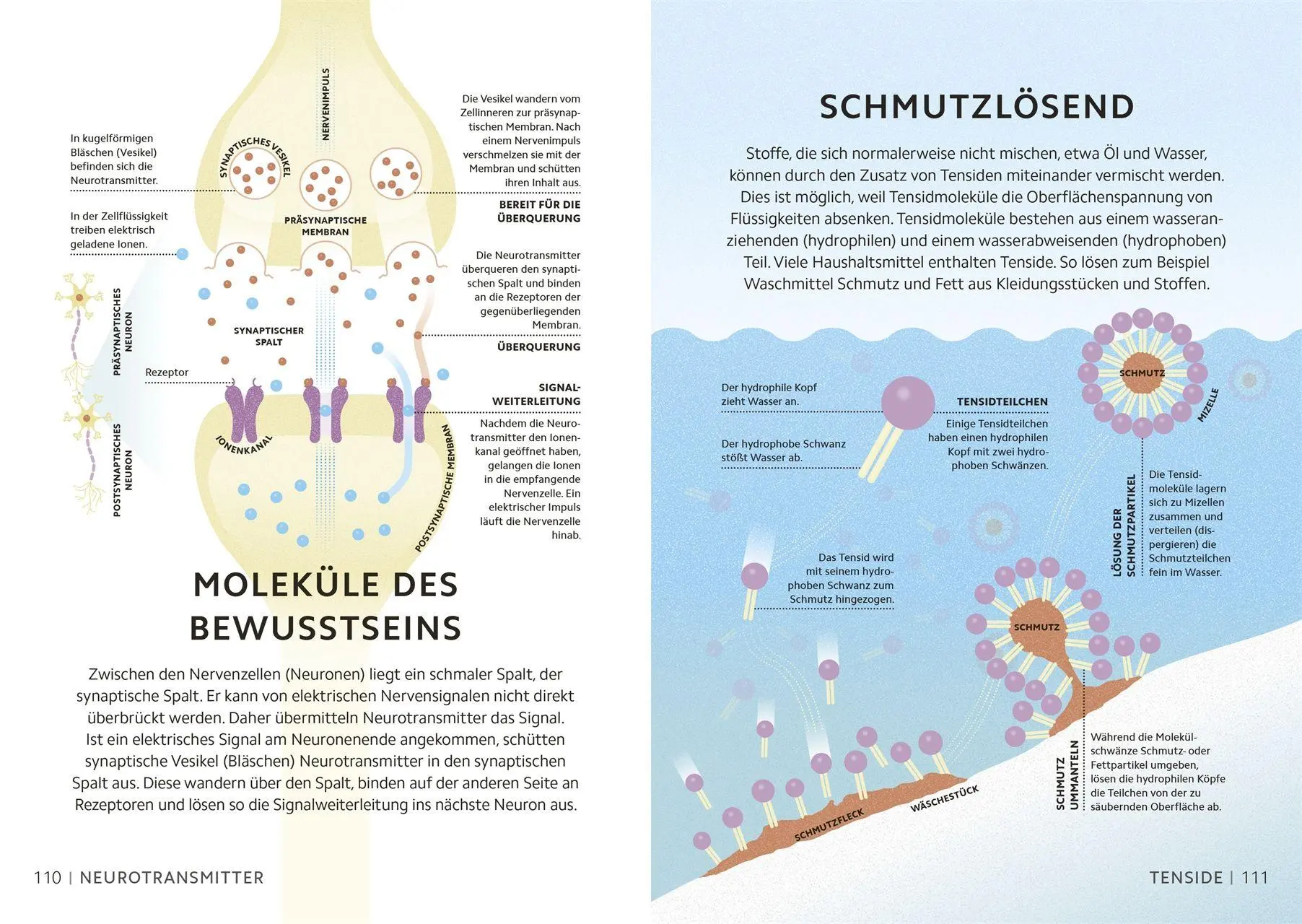Bild: 9783831053728 | Simply Chemie | Andy Extance (u. a.) | Buch | Simply | 160 S. | 2026