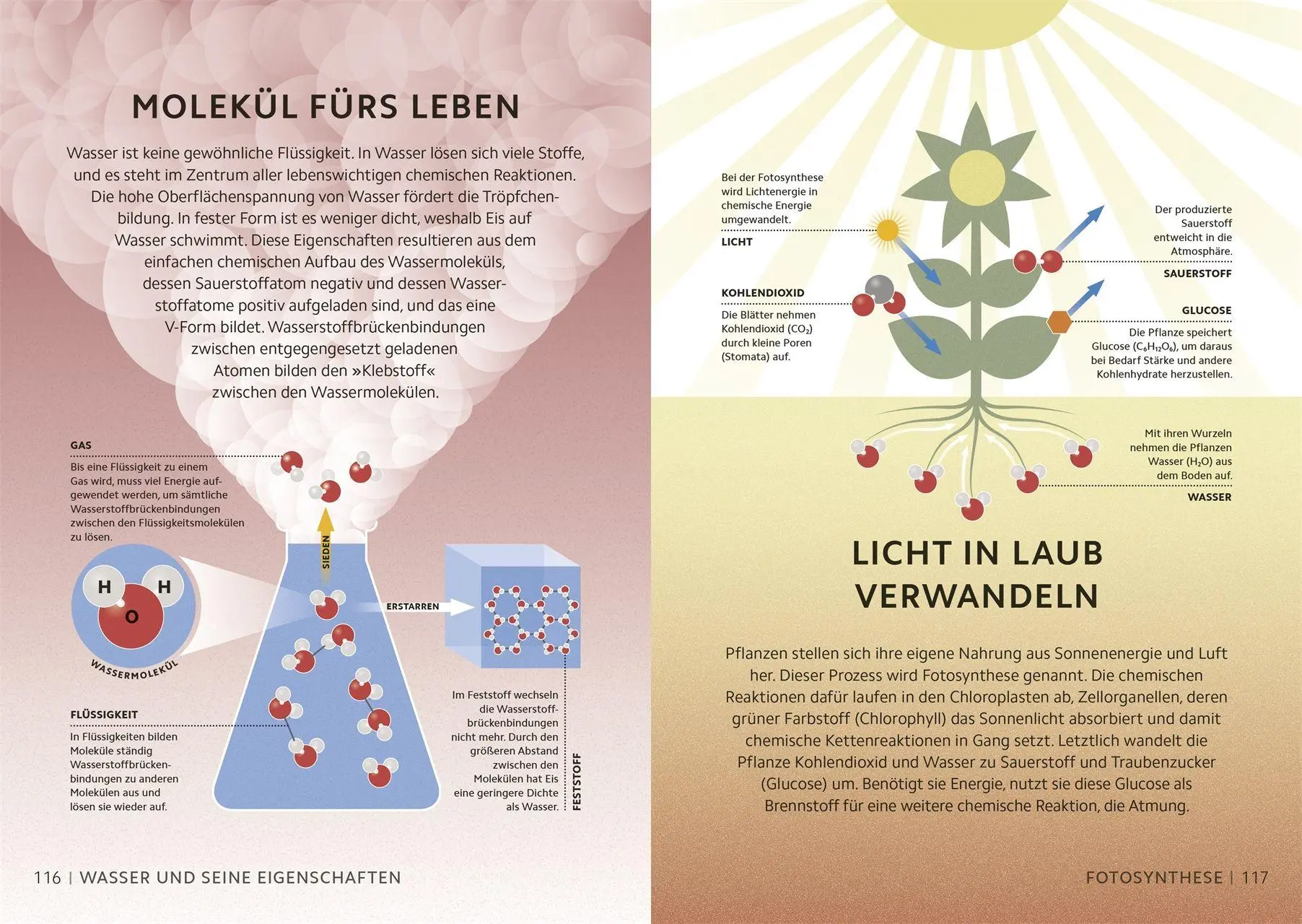 Bild: 9783831053728 | Simply Chemie | Andy Extance (u. a.) | Buch | Simply | 160 S. | 2026