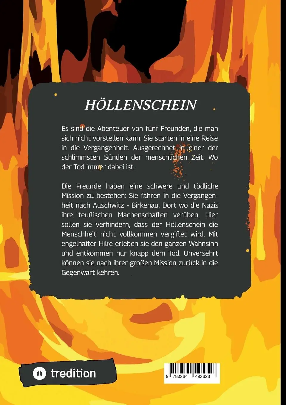 Rückseite: 9783384493828 | HÖLLENSCHEIN | ein Jugendroman | Frank Zumbrock | Taschenbuch | 492 S.