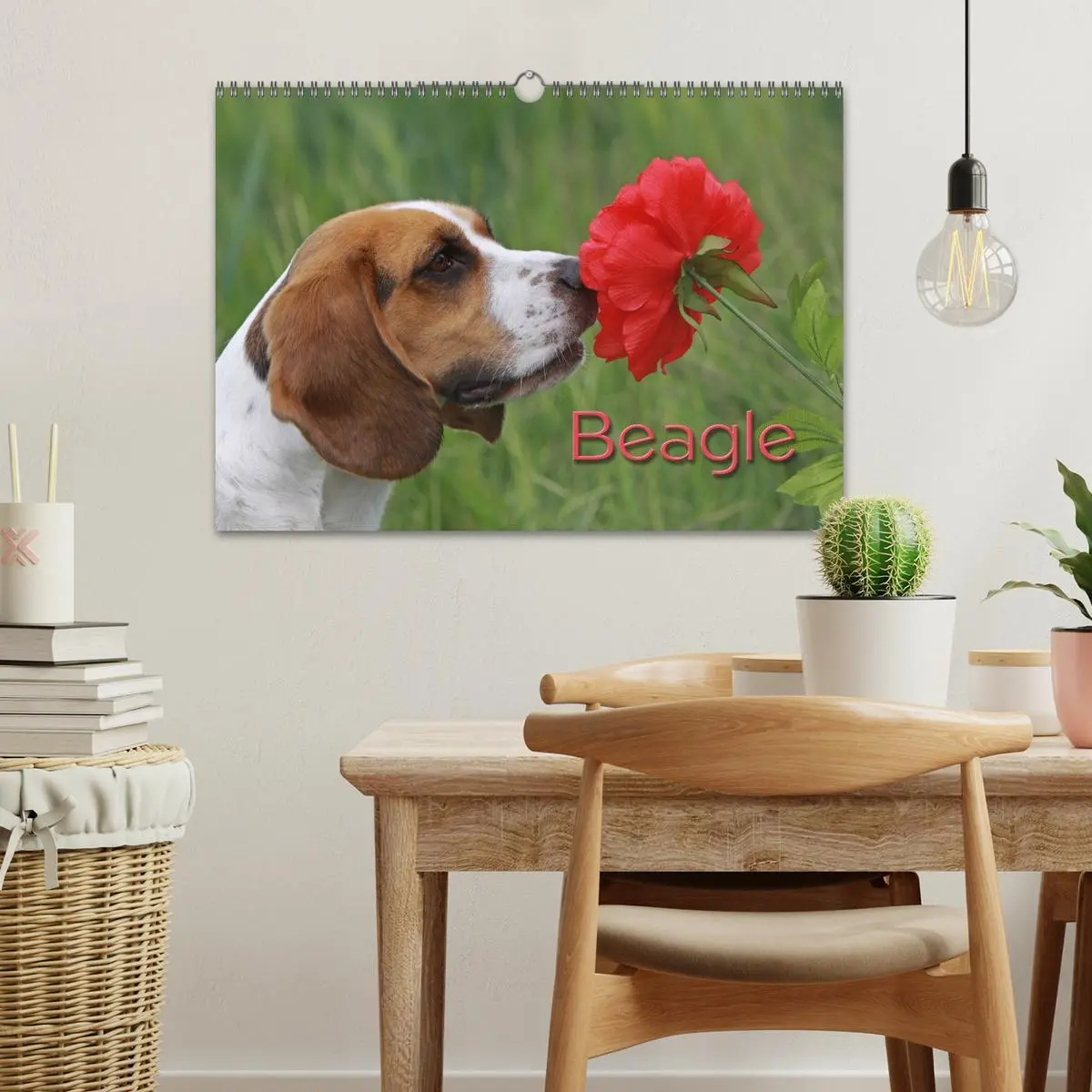 Bild: 9783516153828 | Beagle (Wandkalender 2026 DIN A3 quer), CALVENDO Monatskalender | Berg