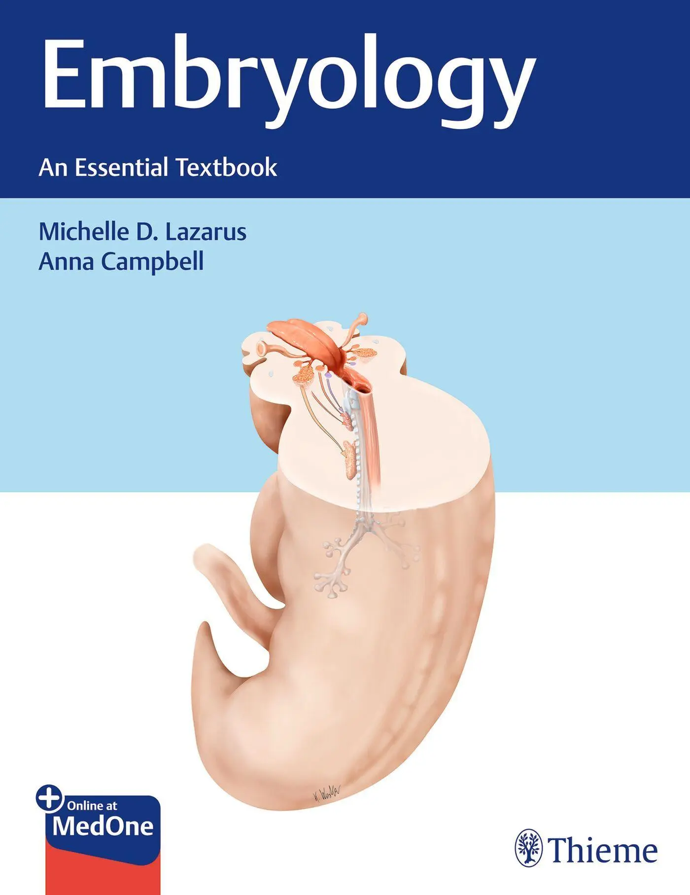 Cover: 9781626233928 | Embryology | An Essential Textbook | Michelle Lazarus (u. a.) | Bundle