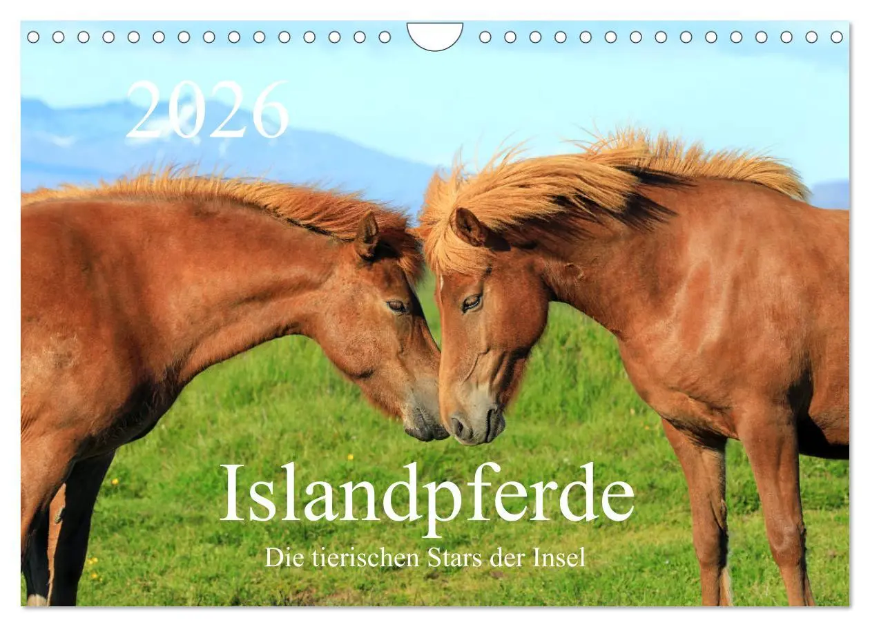 Cover: 9783457813928 | Islandpferde - Die tierischen Stars der Insel (Wandkalender 2026...