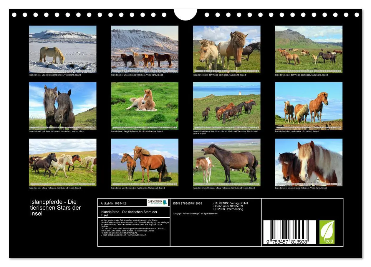 Bild: 9783457813928 | Islandpferde - Die tierischen Stars der Insel (Wandkalender 2026...