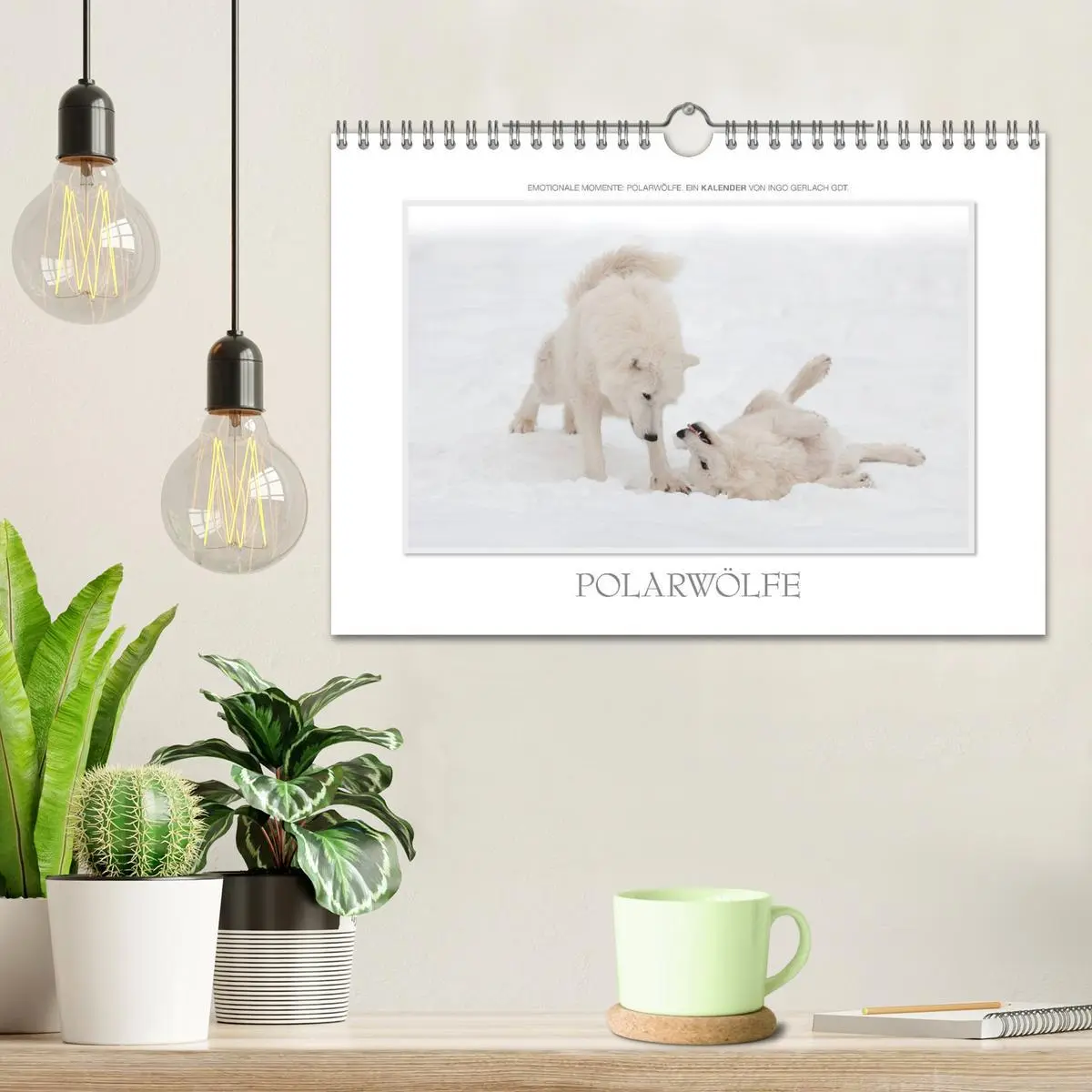 Bild: 9783516143928 | Emotionale Momente: Polarwölfe. / CH-Version (Wandkalender 2026 DIN...