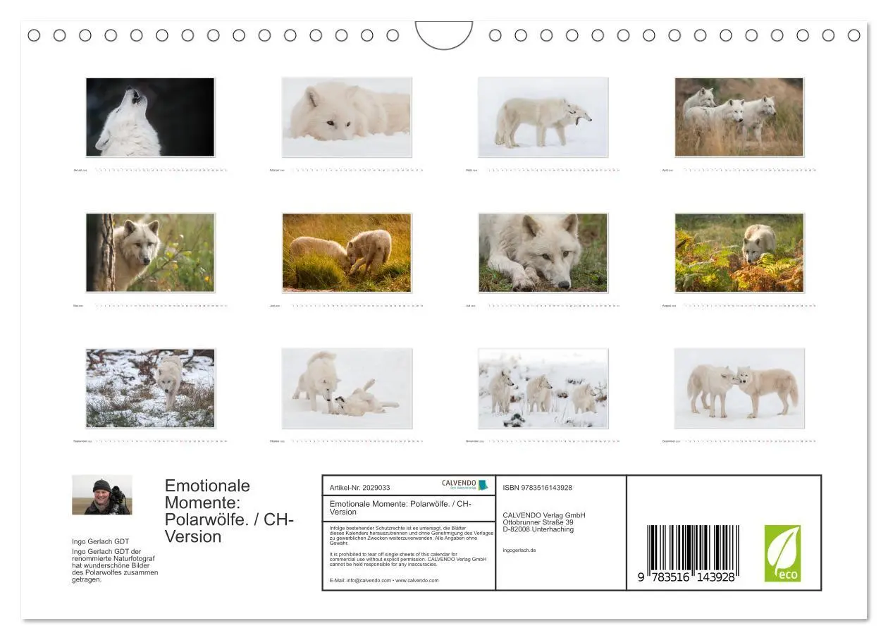 Bild: 9783516143928 | Emotionale Momente: Polarwölfe. / CH-Version (Wandkalender 2026 DIN...