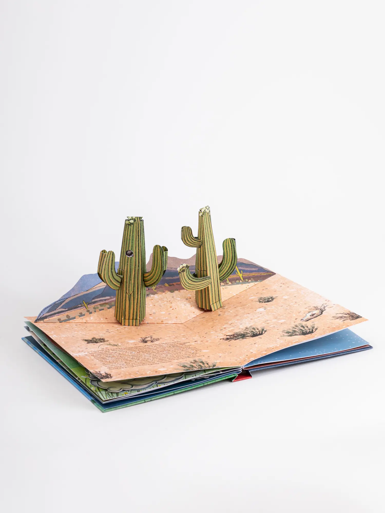 Bild: 9783791373928 | Das Wetter. Pop-up-Buch | Maike Biederstädt | Buch | 14 S. | Deutsch