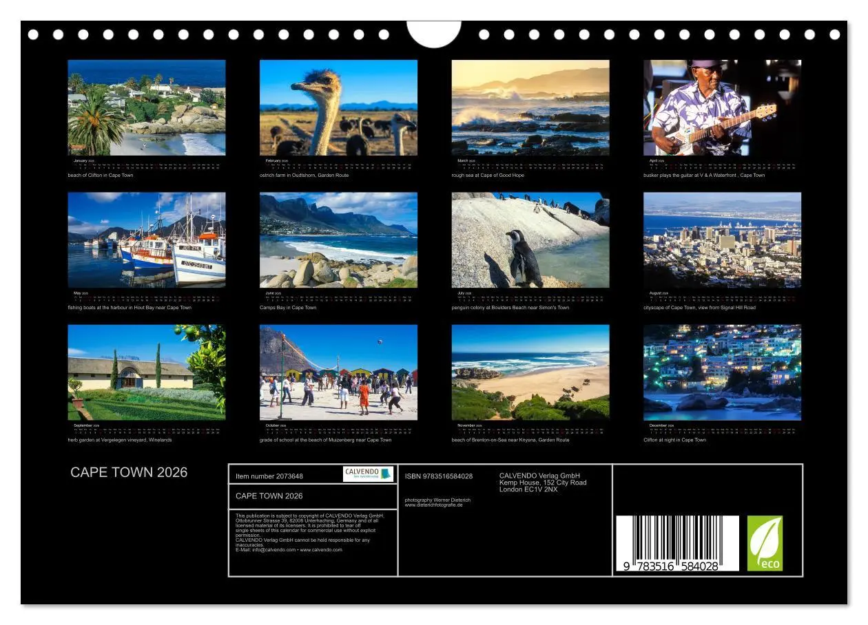 Bild: 9783516584028 | CAPE TOWN 2026 (Wall Calendar 2026 DIN A4 landscape), CALVENDO 12...