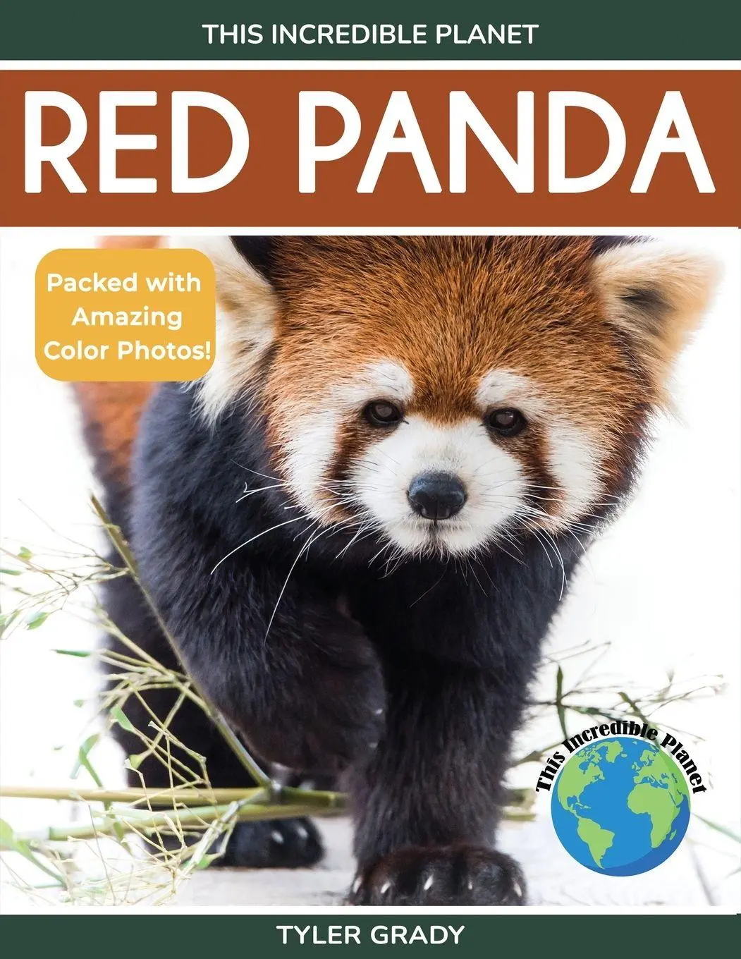 Cover: 9781647904128 | Red Panda | Tyler Grady | Taschenbuch | Englisch | 2024