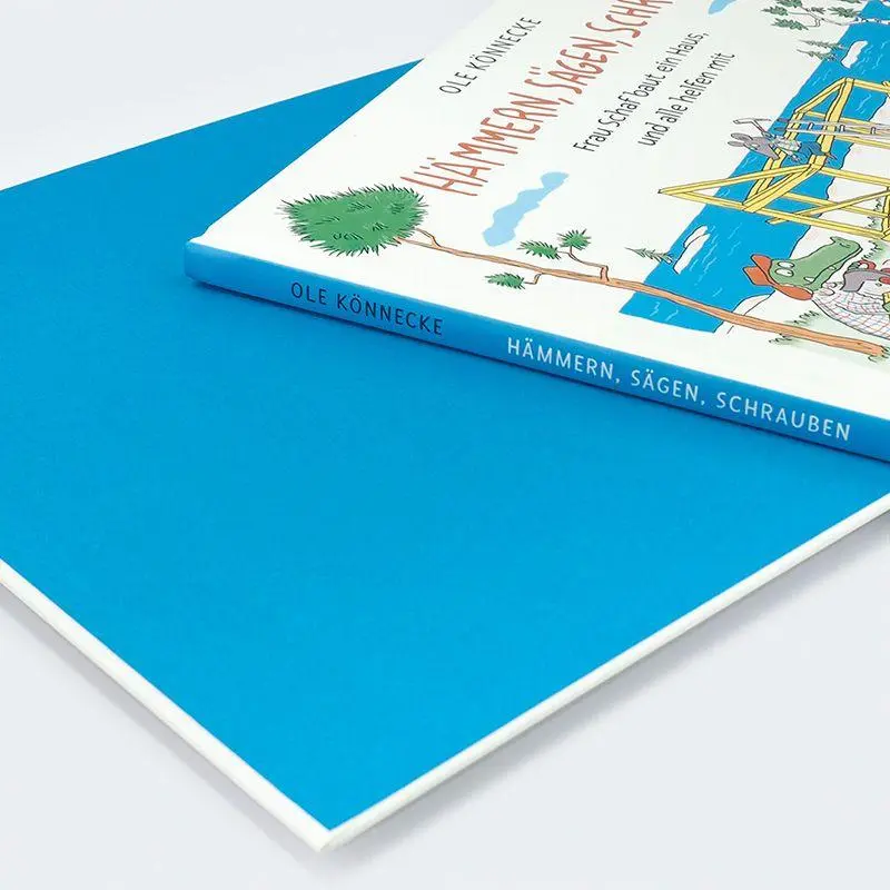 Bild: 9783446284128 | Hämmern, sägen, schrauben | Ole Könnecke | Buch | 32 S. | Deutsch
