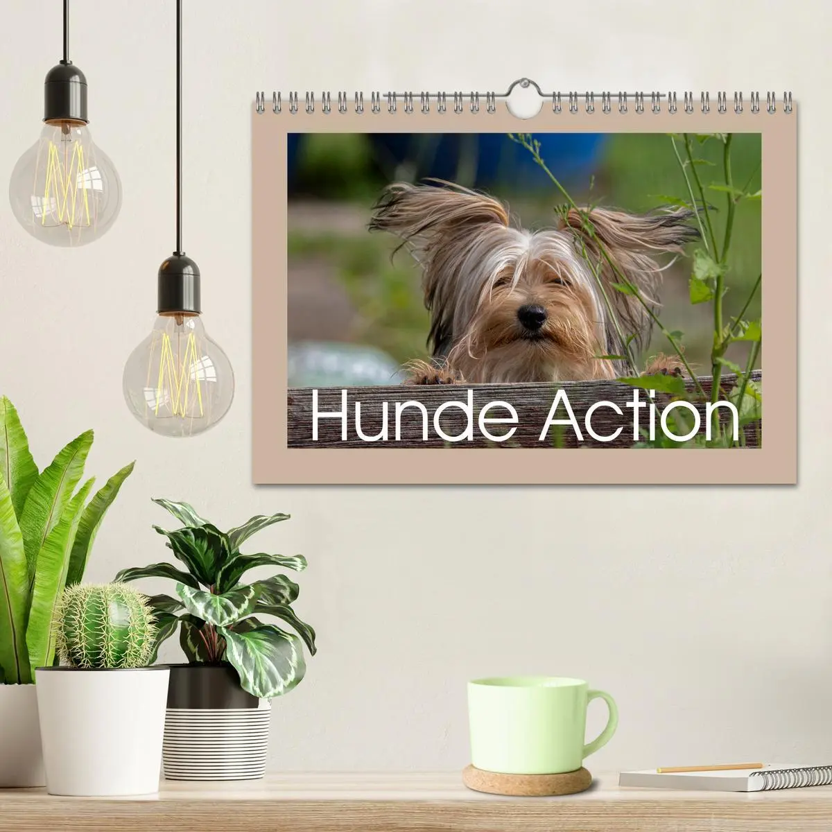 Bild: 9783457554128 | Hunde Action (Wandkalender 2026 DIN A4 quer), CALVENDO Monatskalender