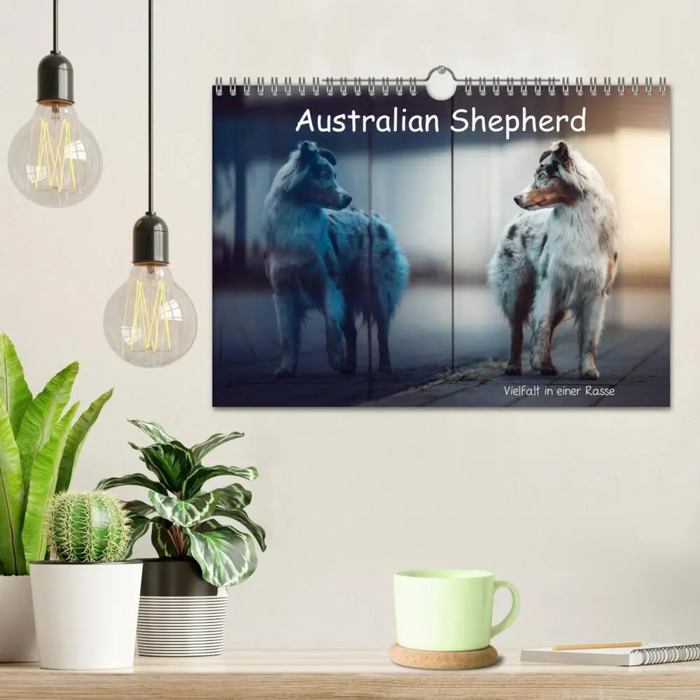 Bild: 9783457794128 | Australian Shepherd - Vielfalt in einer Rasse (Wandkalender 2026...