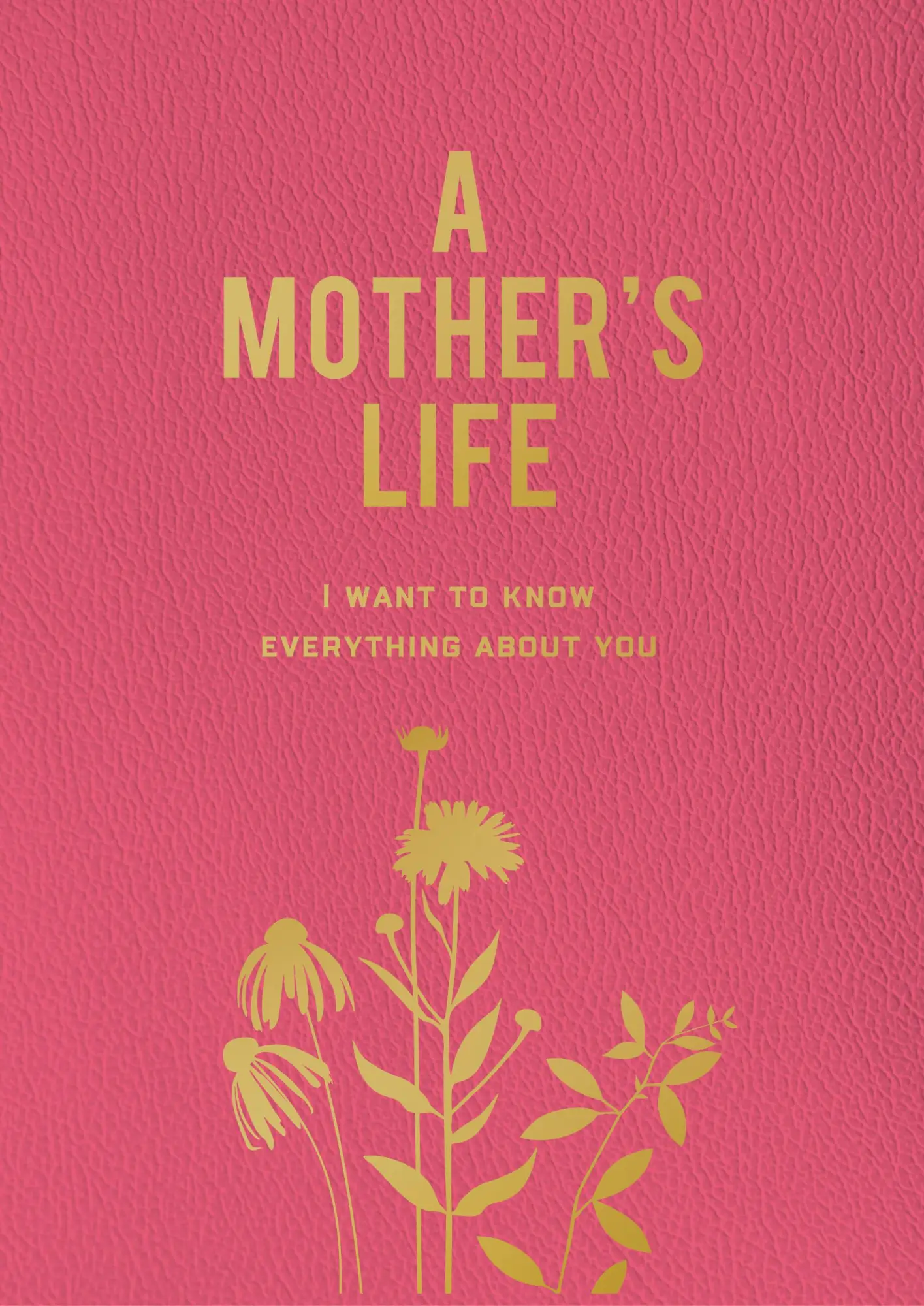 Cover: 9780785844228 | A Mother's Life | I Want to Know Everything about You | Books | Buch