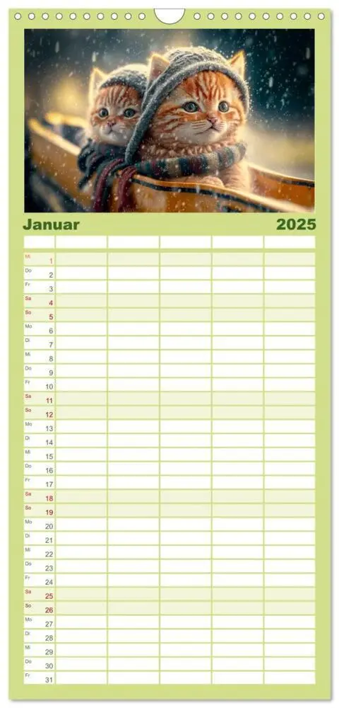 Bild: 9783457094228 | Familienplaner 2025 - Katzen Freunde mit 5 Spalten (Wandkalender,...
