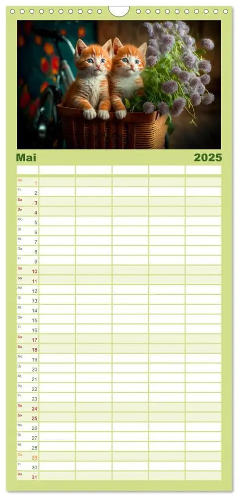 Bild: 9783457094228 | Familienplaner 2025 - Katzen Freunde mit 5 Spalten (Wandkalender,...