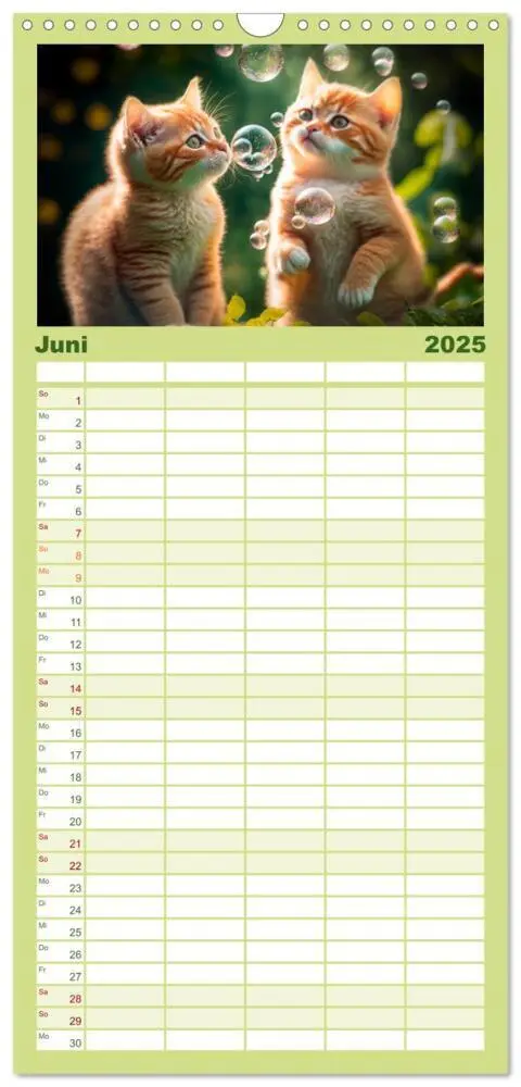 Bild: 9783457094228 | Familienplaner 2025 - Katzen Freunde mit 5 Spalten (Wandkalender,...