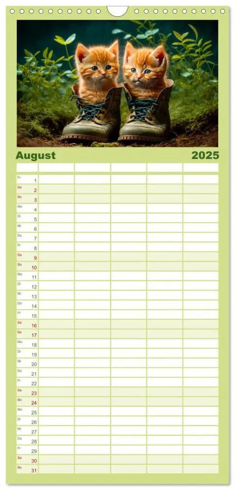 Bild: 9783457094228 | Familienplaner 2025 - Katzen Freunde mit 5 Spalten (Wandkalender,...