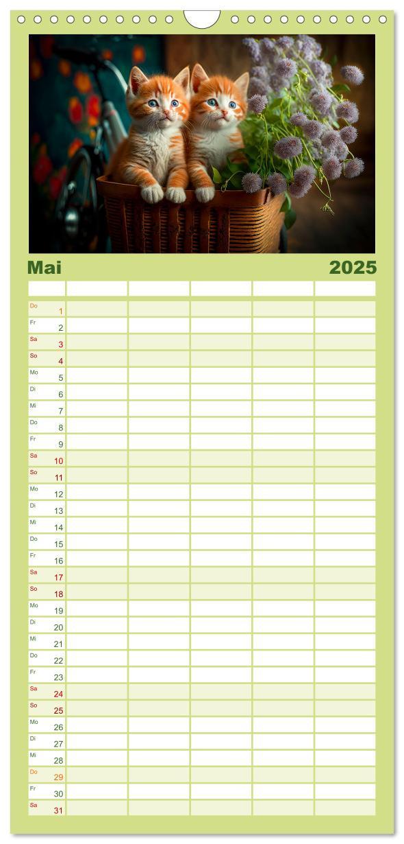 Bild: 9783457094228 | Familienplaner 2025 - Katzen Freunde mit 5 Spalten (Wandkalender,...