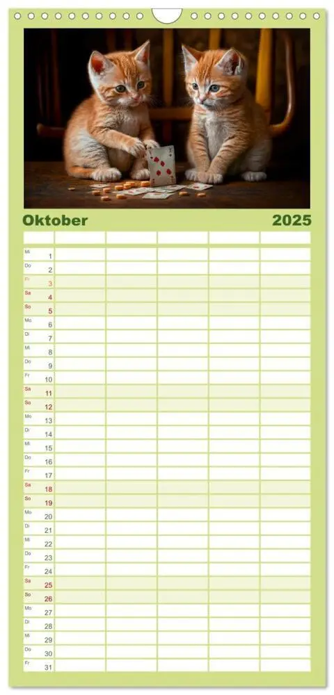 Bild: 9783457094228 | Familienplaner 2025 - Katzen Freunde mit 5 Spalten (Wandkalender,...
