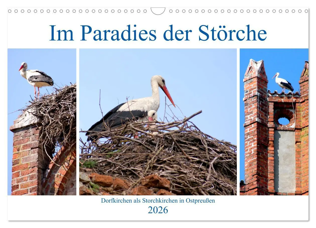 Cover: 9783457784228 | Im Paradies der Störche - Dorfkirchen als Storchkirchen in...