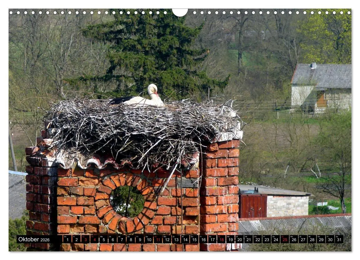 Bild: 9783457784228 | Im Paradies der Störche - Dorfkirchen als Storchkirchen in...