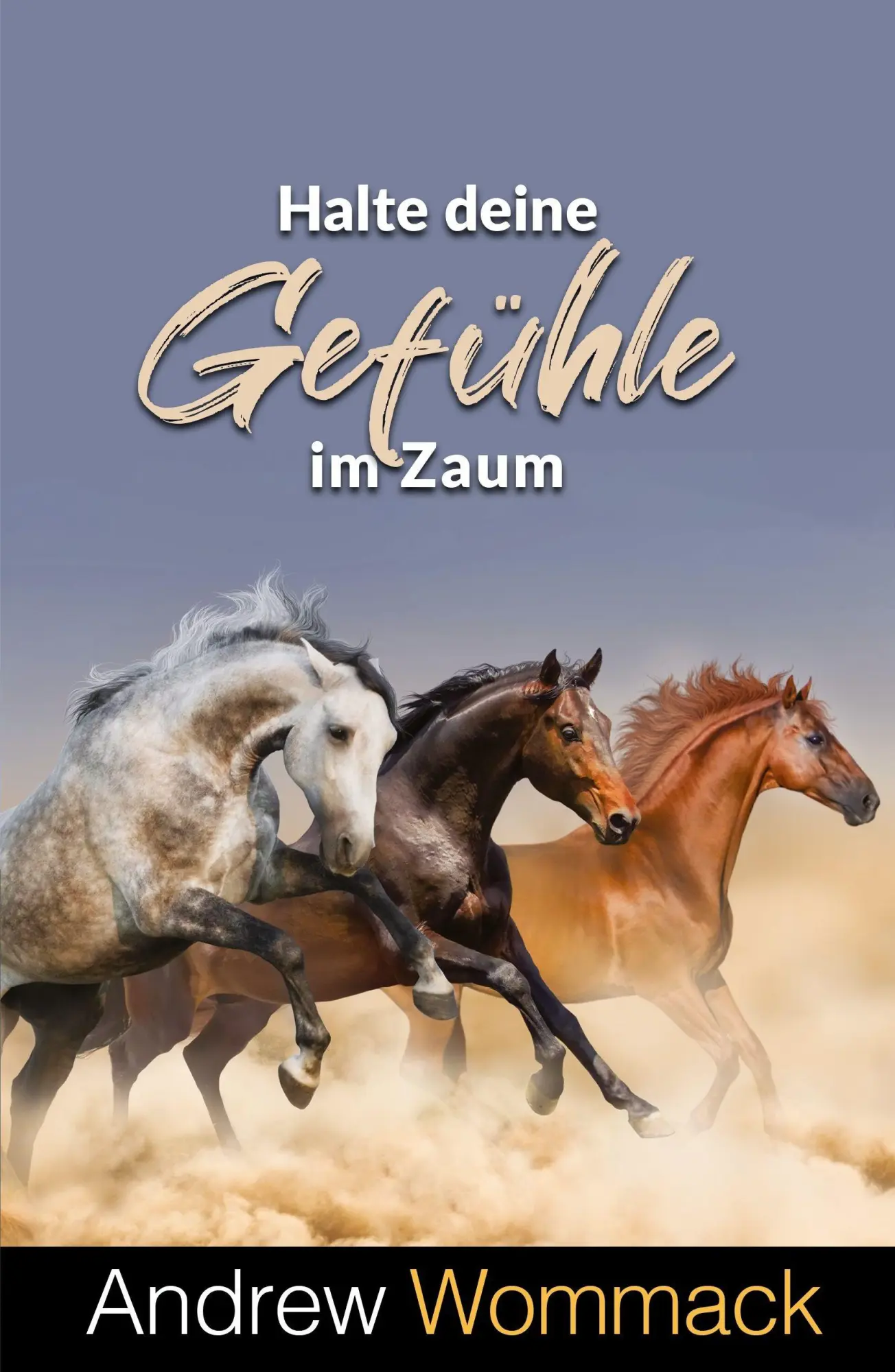 Cover: 9783959334228 | Halte deine Gefühle im Zaum | Andrew Wommack | Taschenbuch | 200 S.