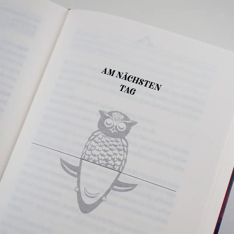 Bild: 9783446264328 | An Nachteule von Sternhai | Holly Goldberg Sloan (u. a.) | Buch | 2019
