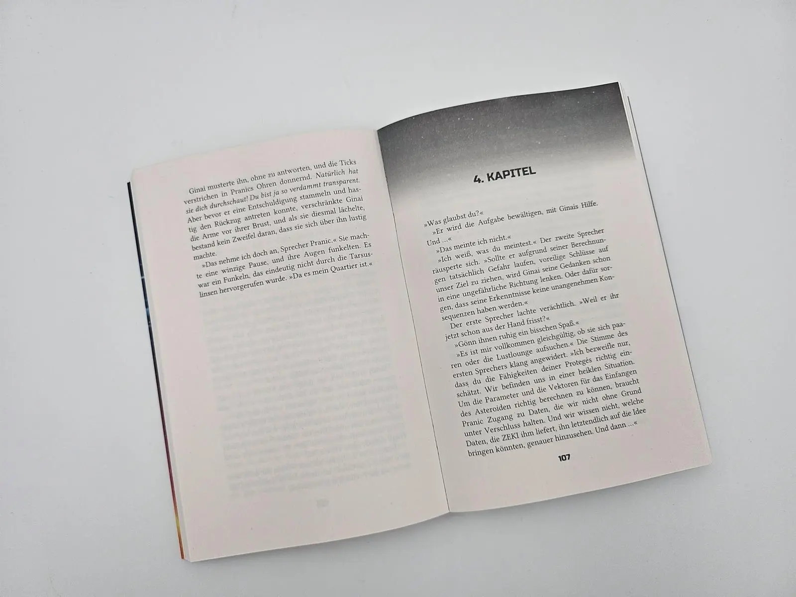 Bild: 9783492704328 | Terra Perdita | Nick Palmer | Taschenbuch | 320 S. | Deutsch | 2025