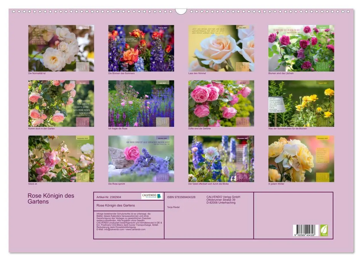 Bild: 9783569404328 | Rose Königin des Gartens (Wandkalender 2027 DIN A2 quer), CALVENDO...