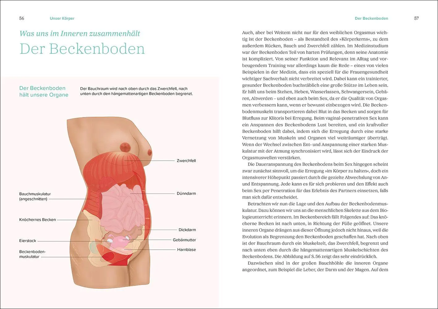 Bild: 9783458684428 | Das große Gynbuch | Mandy Mangler | Taschenbuch | 496 S. | Deutsch