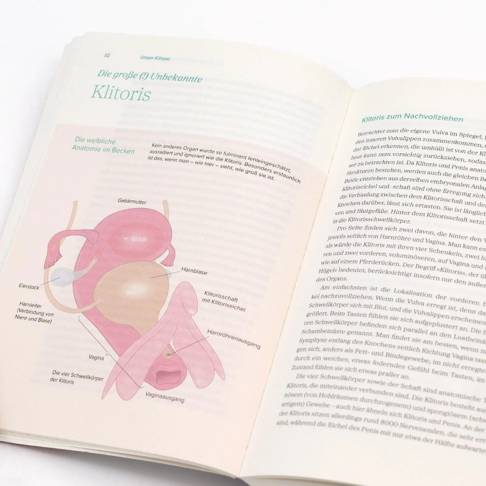 Bild: 9783458684428 | Das große Gynbuch | Mandy Mangler | Taschenbuch | 496 S. | Deutsch