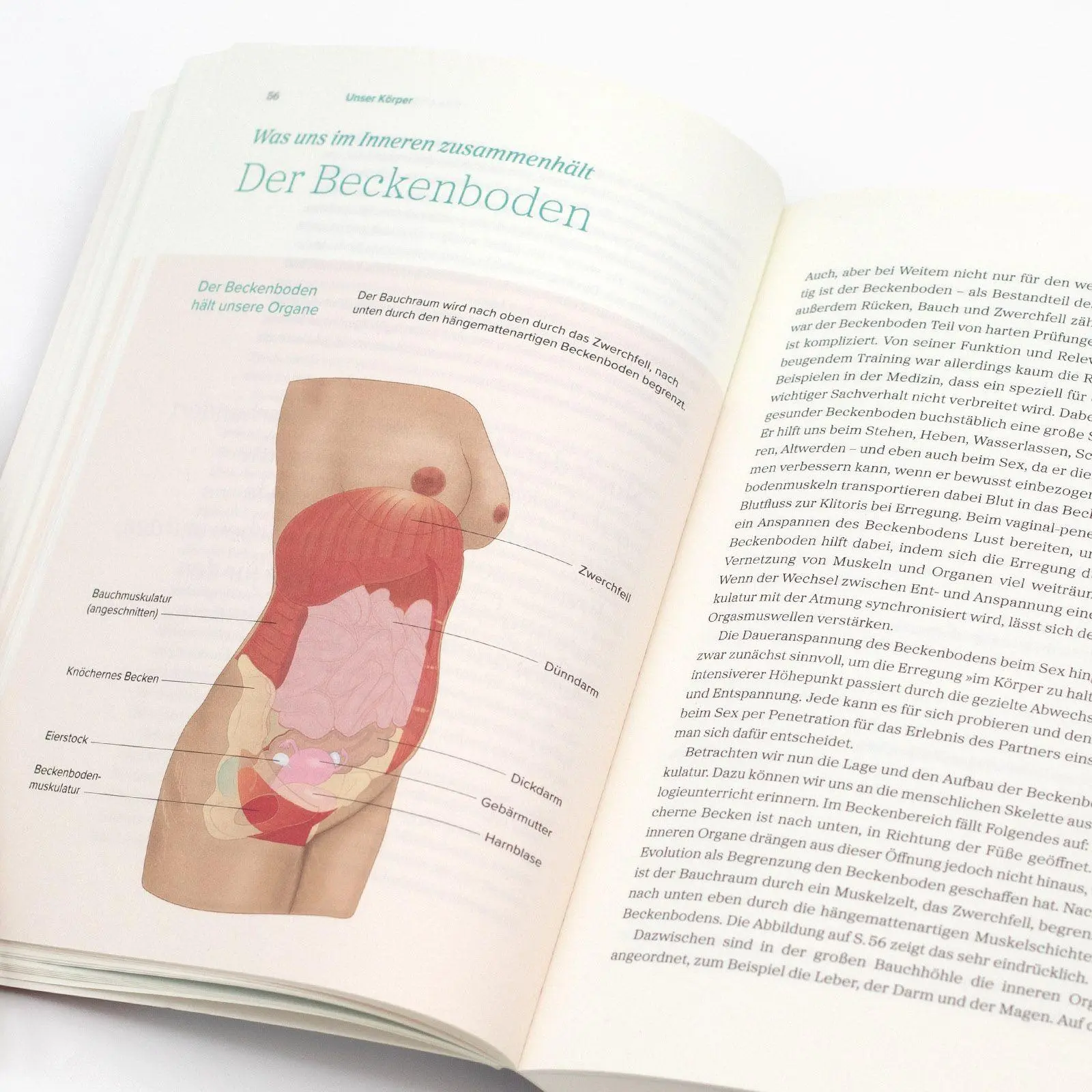 Bild: 9783458684428 | Das große Gynbuch | Mandy Mangler | Taschenbuch | 496 S. | Deutsch