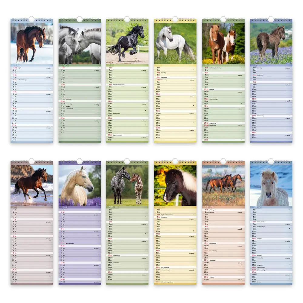 Bild: 9783988024428 | Trötsch Streifenkalender Pferde 2026 Notizkalender | KG | Kalender