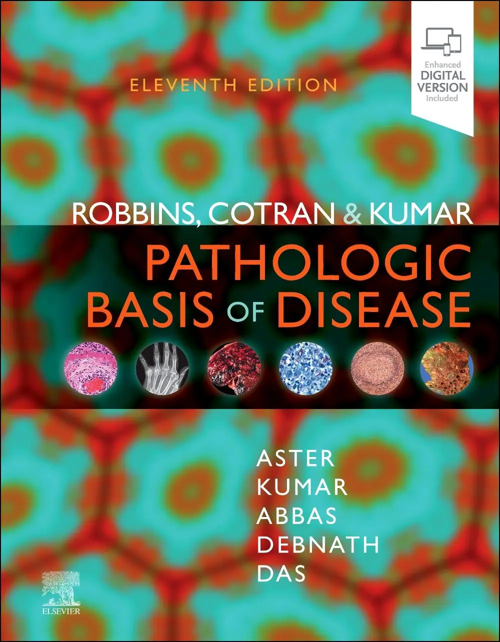 Cover: 9780443264528 | Robbins, Cotran &amp; Kumar Pathologic Basis of Disease | Kumar (u. a.)