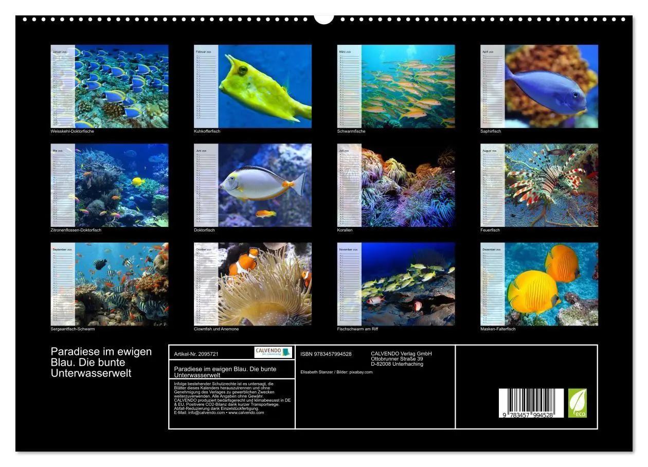 Bild: 9783457994528 | Paradiese im ewigen Blau. Die bunte Unterwasserwelt (hochwertiger...