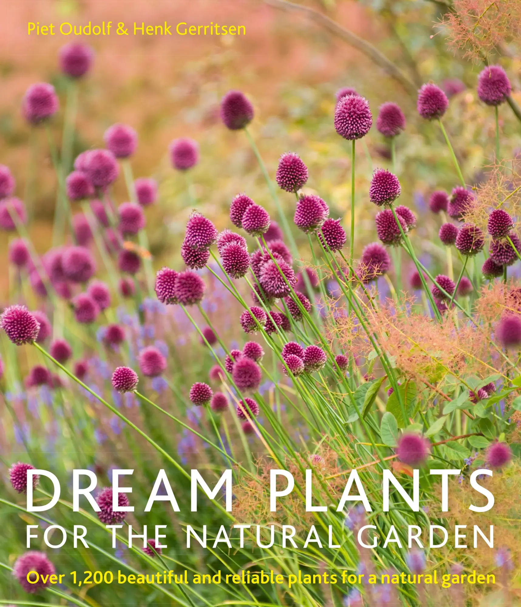 Cover: 9780711234628 | Dream Plants for the Natural Garden | Piet Oudolf (u. a.) | Buch