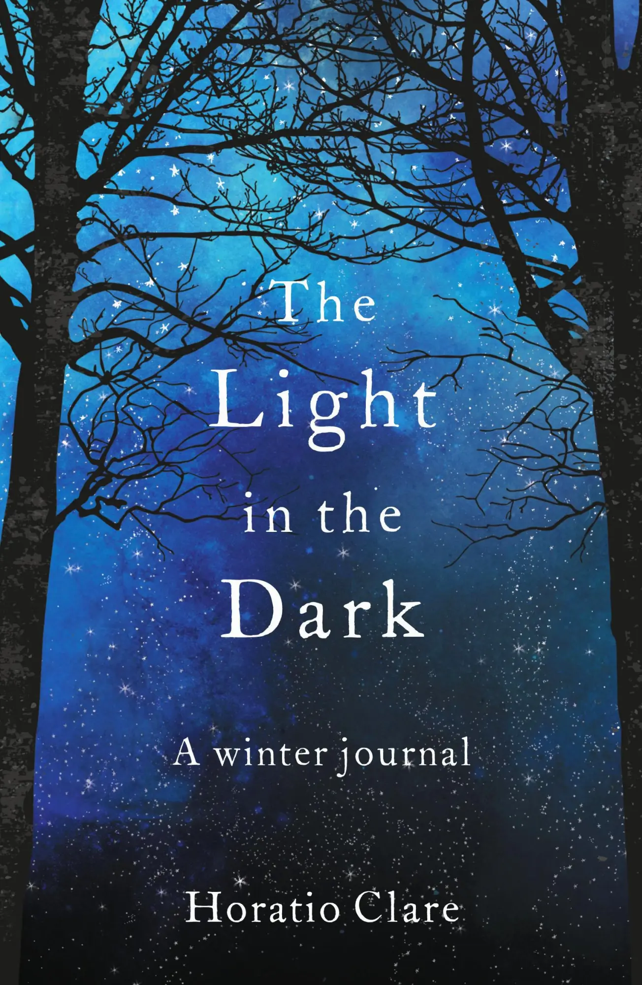 Cover: 9781783964628 | The Light in the Dark: A Winter Journal | Horatio Clare | Taschenbuch