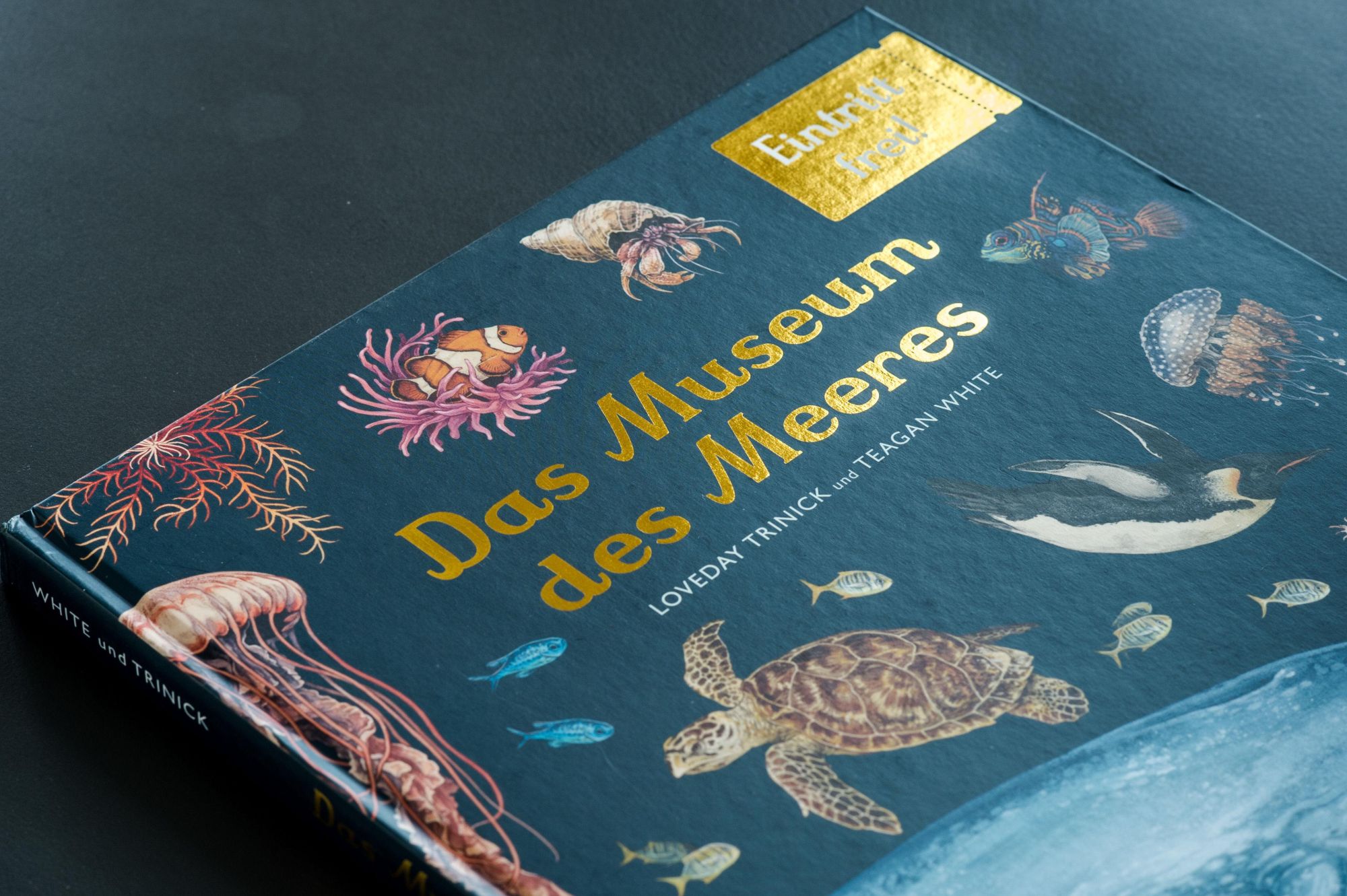Bild: 9783791374628 | Das Museum des Meeres | Eintritt frei! | Loveday Trinick (u. a.)