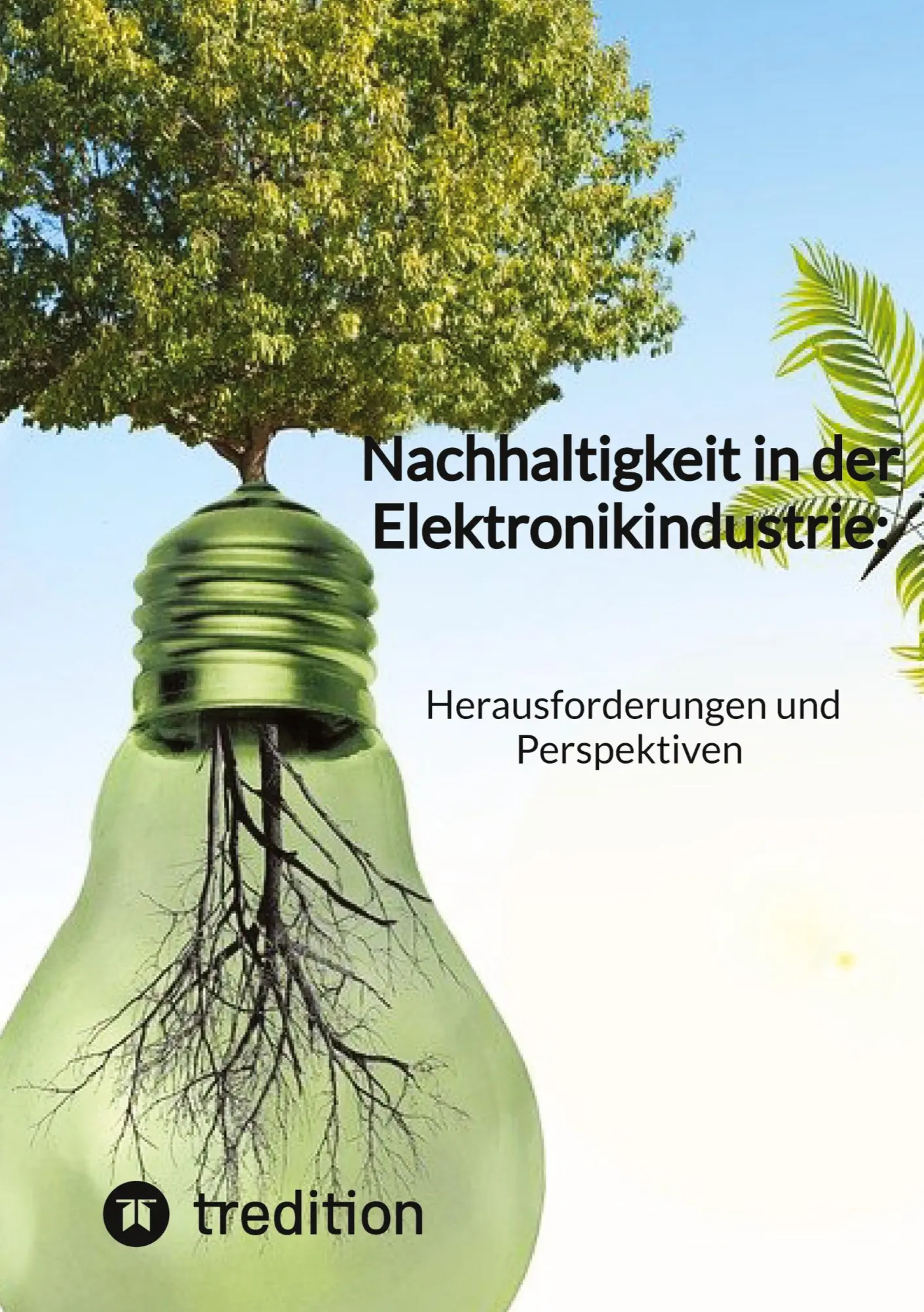 Cover: 9783347844728 | Nachhaltigkeit in der Elektronikindustrie: Herausforderungen und...