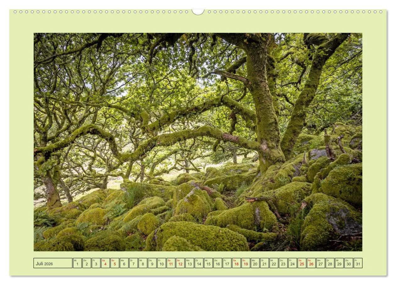 Bild: 9783457424728 | Südengland pur (hochwertiger Premium Wandkalender 2026 DIN A2...