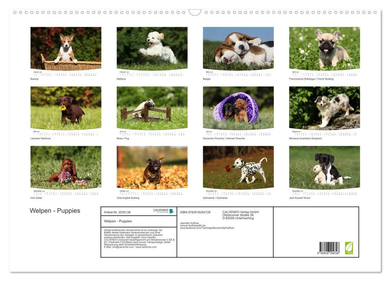 Bild: 9783516204728 | Welpen - Puppies (Wandkalender 2026 DIN A2 quer), CALVENDO...