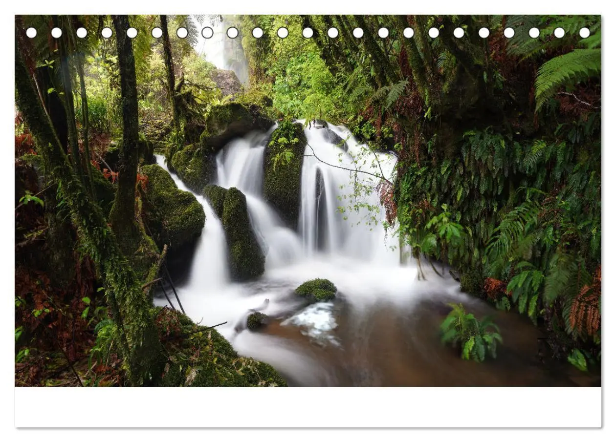 Bild: 9783383924828 | Neuseeland - Regionen Waikato und Bay of Plenty (Tischkalender 2025...