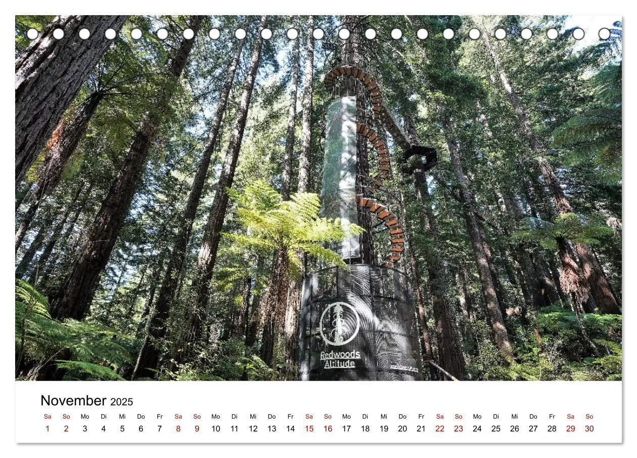 Bild: 9783383924828 | Neuseeland - Regionen Waikato und Bay of Plenty (Tischkalender 2025...