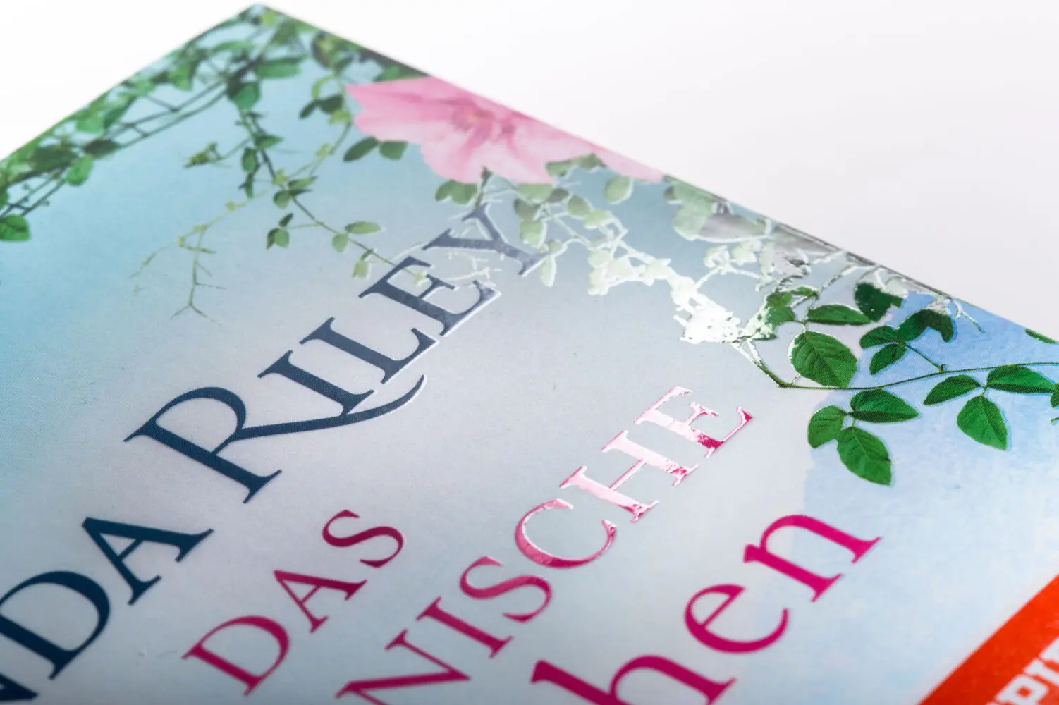 Bild: 9783442494828 | Das italienische Mädchen | Roman | Lucinda Riley | Taschenbuch | 2023