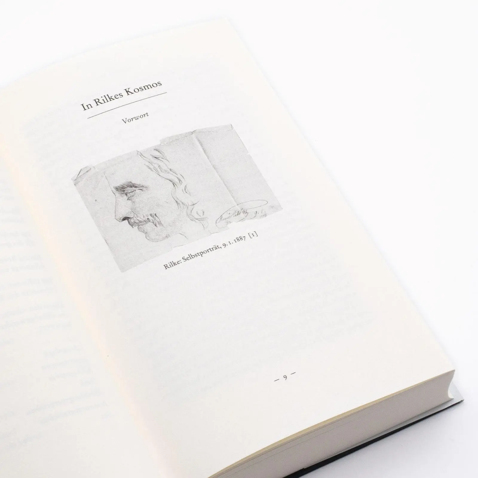 Bild: 9783458644828 | Rainer Maria Rilke oder Das offene Leben | Sandra Richter | Buch